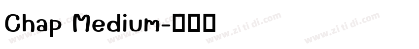 Chap Medium字体转换